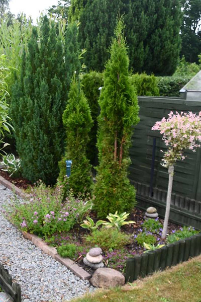 frontpage_left_right